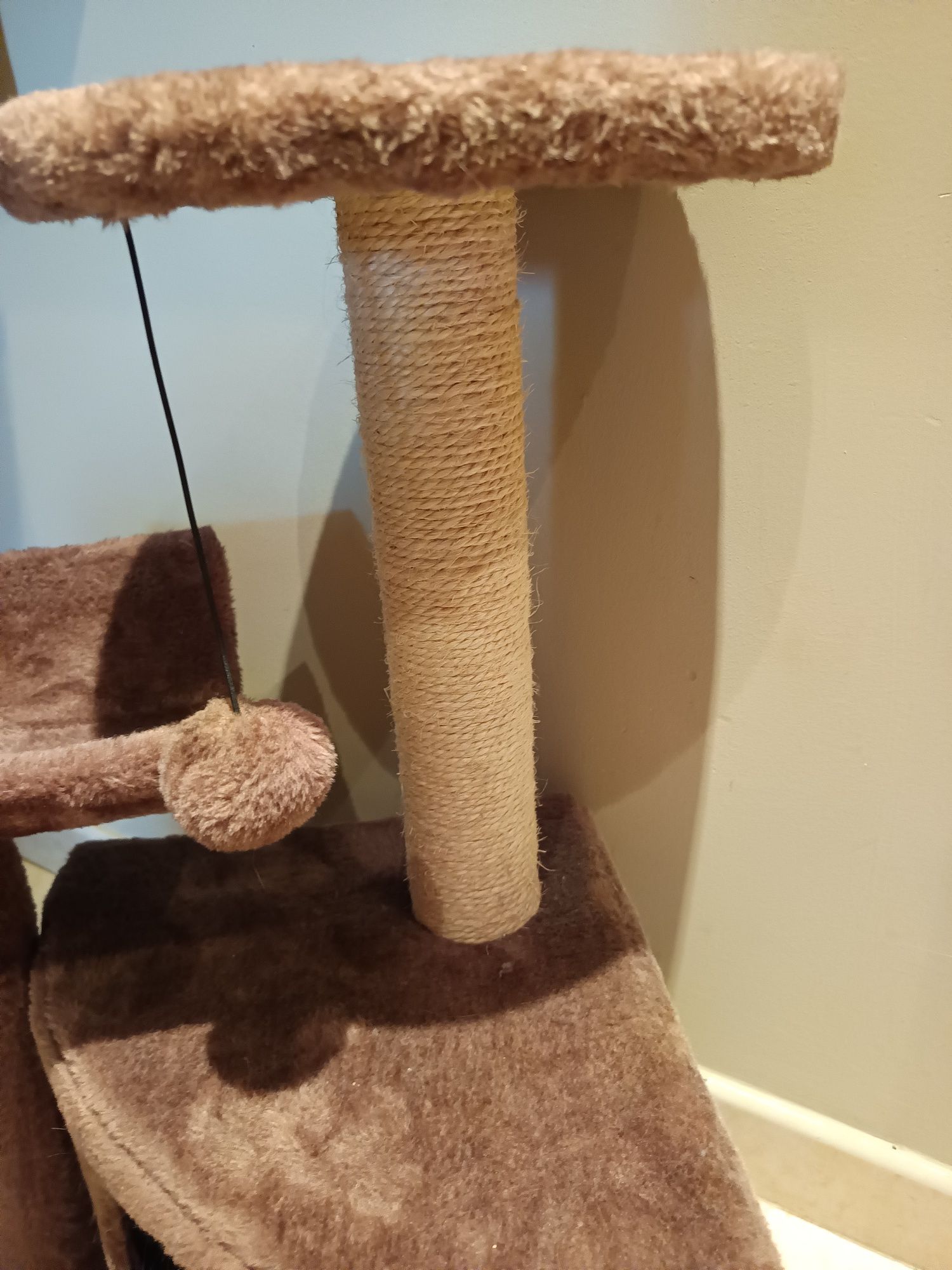 Ginásio gato com arranhador