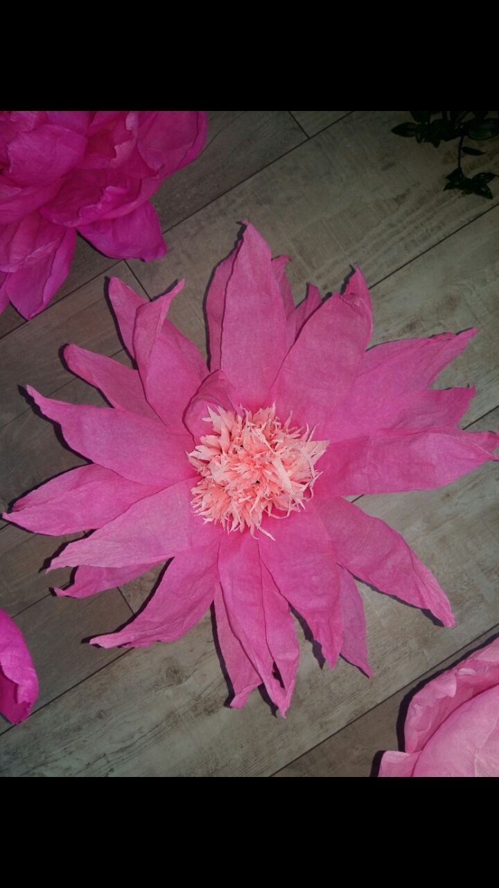 Бумажные цветы гофрированной бумаги розы пионы Ростовые цветы фотозона