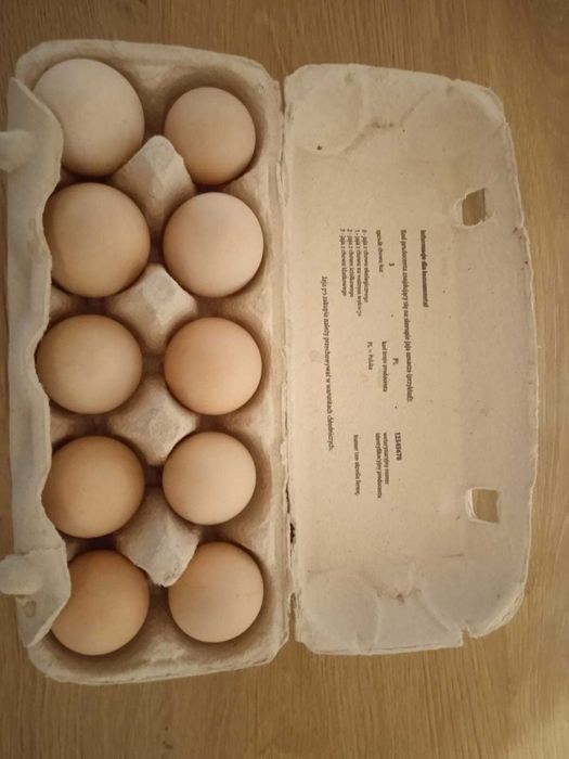 Jaja wiejskie, świeże, od młodych kur, karmionych swoją paszą