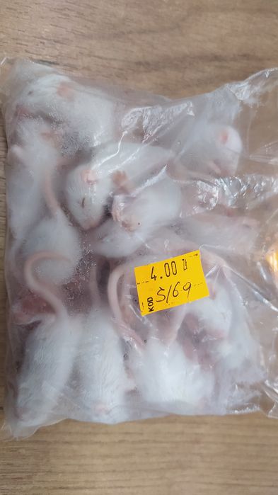 Mrożone myszy, 5/6 g karmówka dla węży