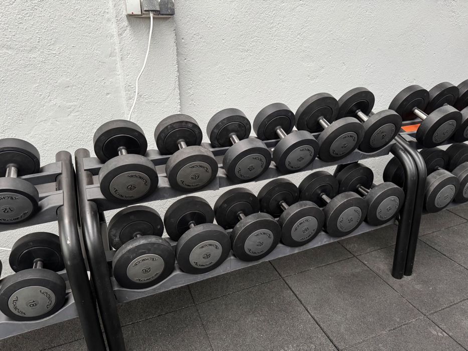 Halteres de ginásio Technogym profissionais