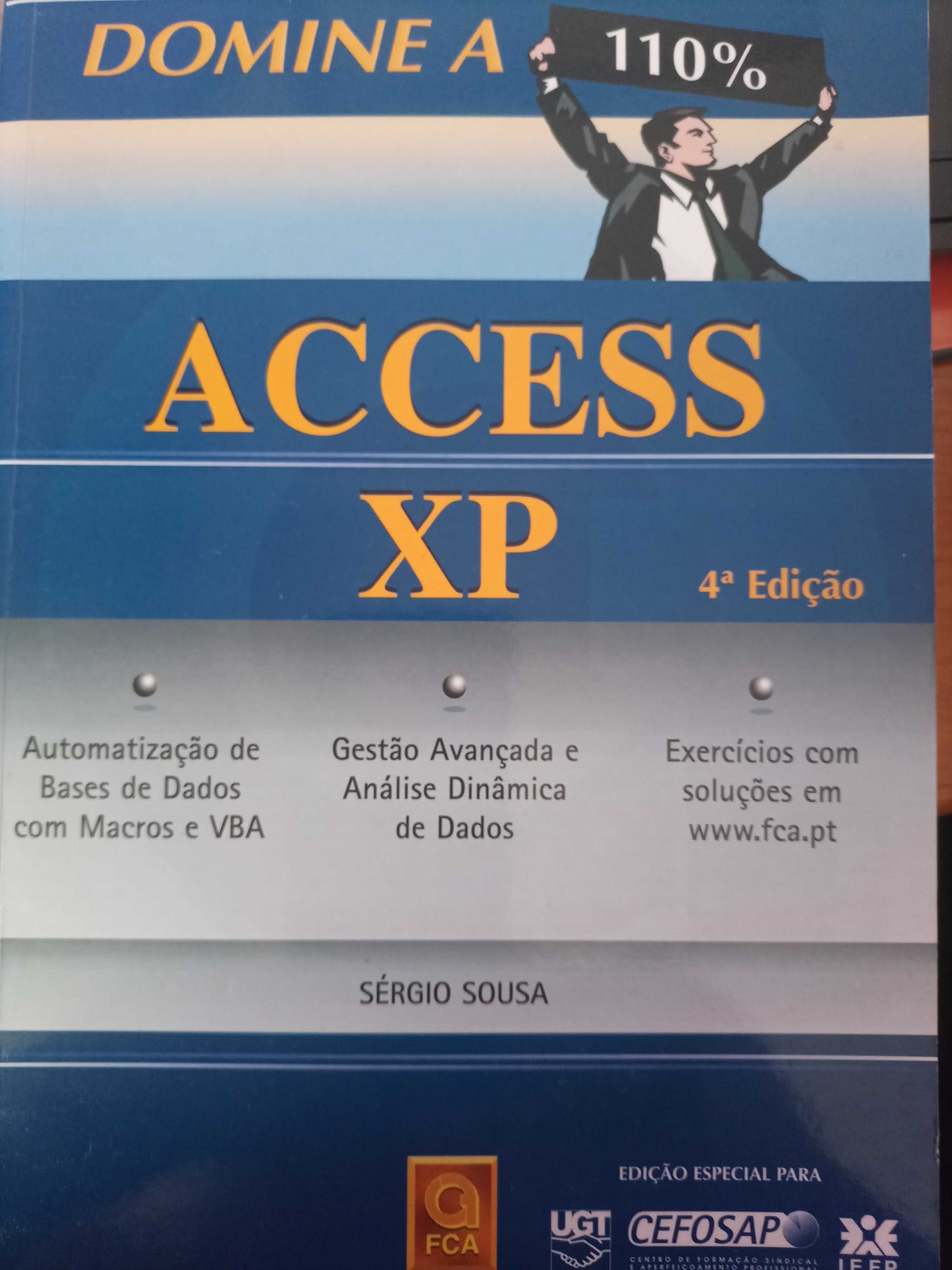 Livro Access XP completo Domine a 110%