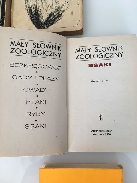 Fotografia w praktyce amatorskiej