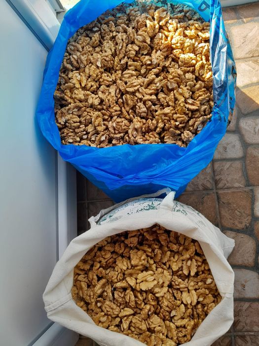 Продам грецький горіх