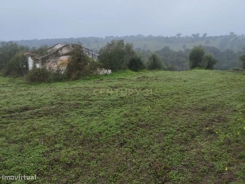 Terreno perto da Barragem de Montargil