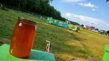 Miód lipowy, wielokwiatowy, rzepakowy, propolis,
