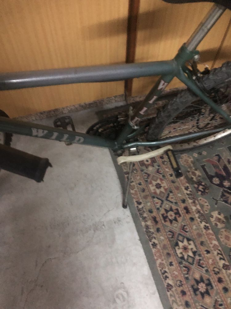 Bicicleta Wild em bom estado