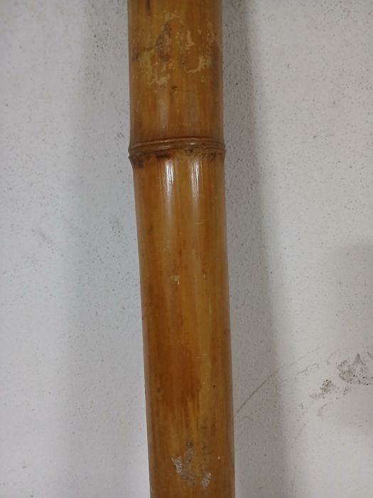 Canas bambu usadas