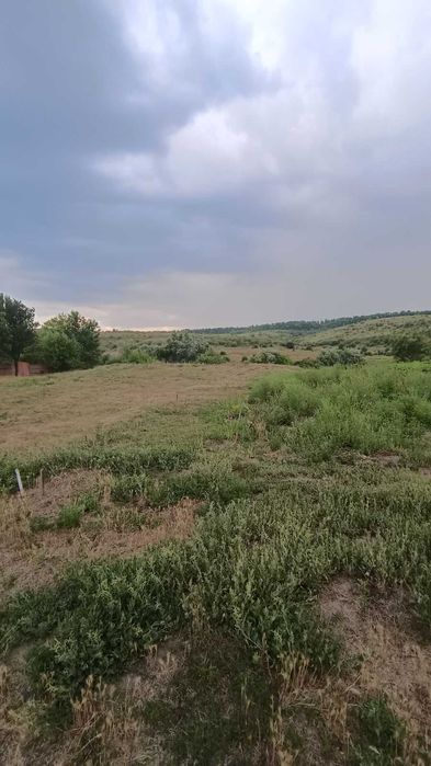 продається приватизована земельна ділянка