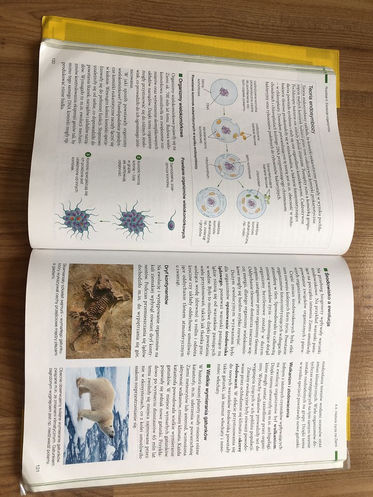 Biologia na czasie 3. Podrecznik do biologii kl 3 zakres podstawowy