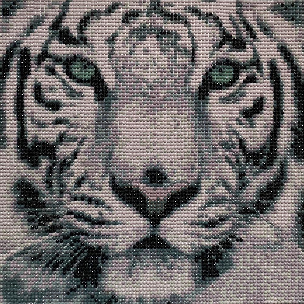 Obraz wyklejony diamencikami - biały tygrys