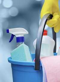 Serviços Profissionais de Limpeza Residencial