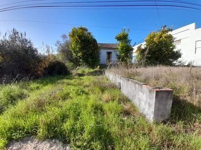 Quinta 4750m2 / T3 - Tramagal (Abrantes)