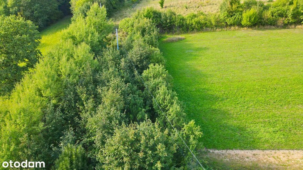 Widokowa działka górska 20ar w Kamionce Małej