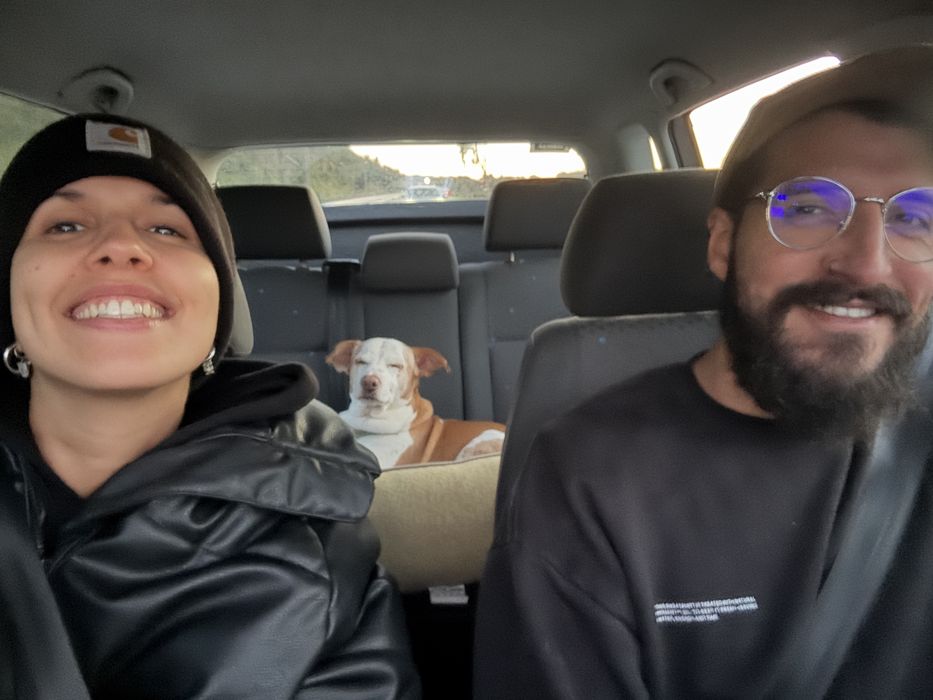 Tomar conta/ Passeio de caẽs. Dog walking. Petsitting. Pet care