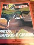 Revistas os bichos da nova cultural