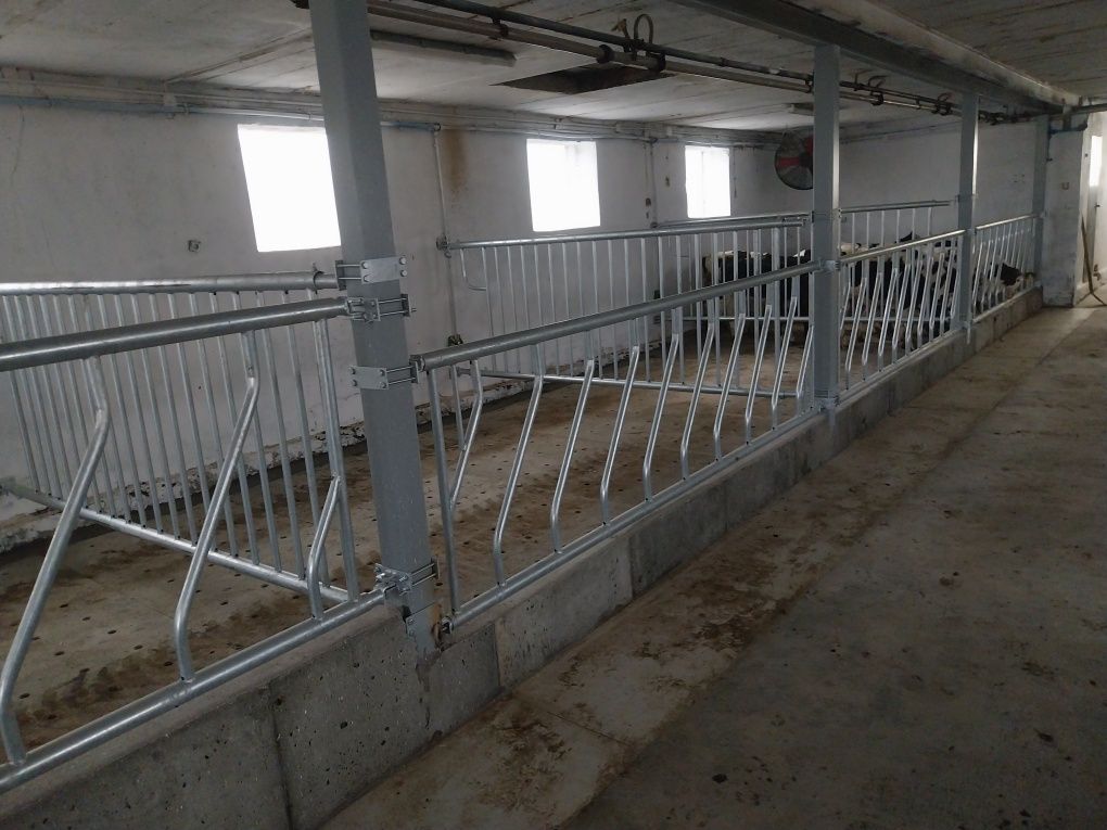 Modernizacja obór przeróbki !!! Budowa domów ,posadzki przemysłowe