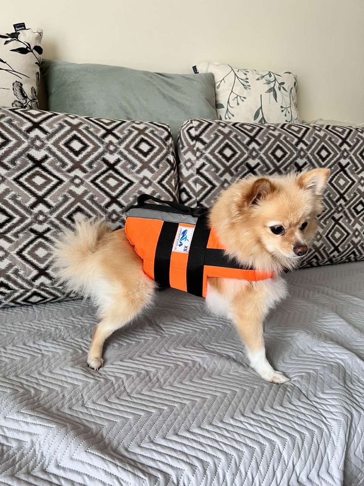 Спасательный рятувальний жилет для собаки