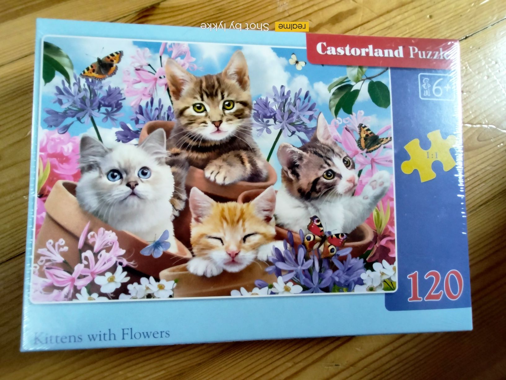 Puzzle Kittens with Flowers 120 elementów