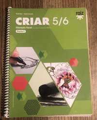 Manual e caderno de atividades Educação Visual. 5o ano