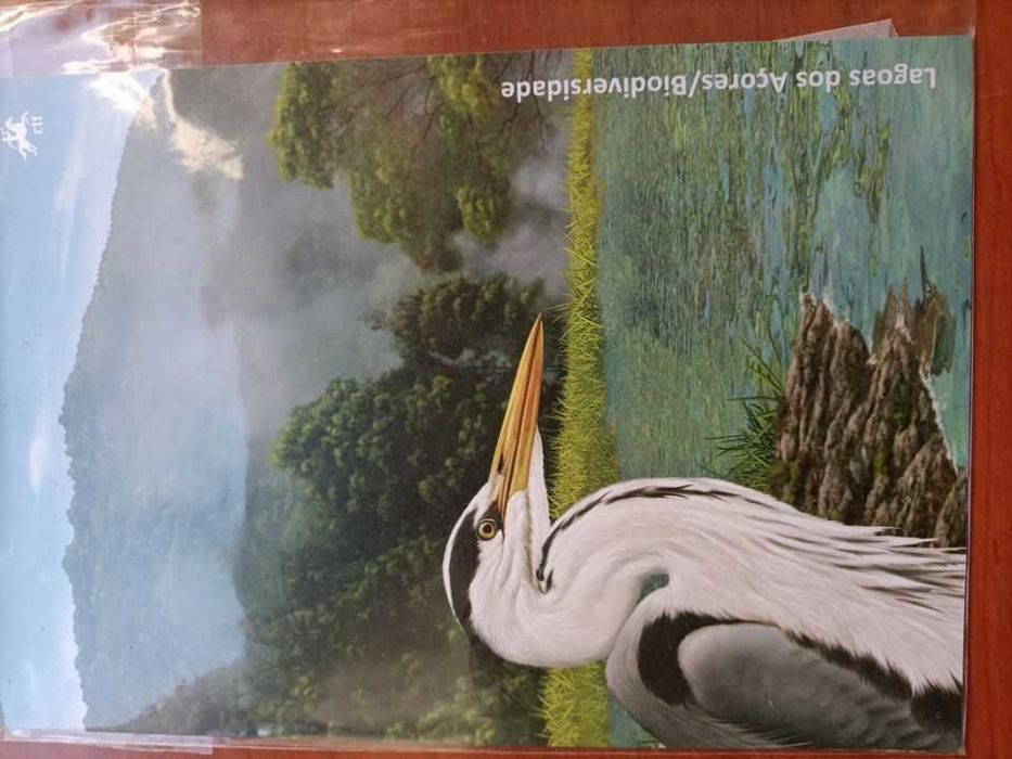 Selos Lagoas dos Açores/Biodiversidades