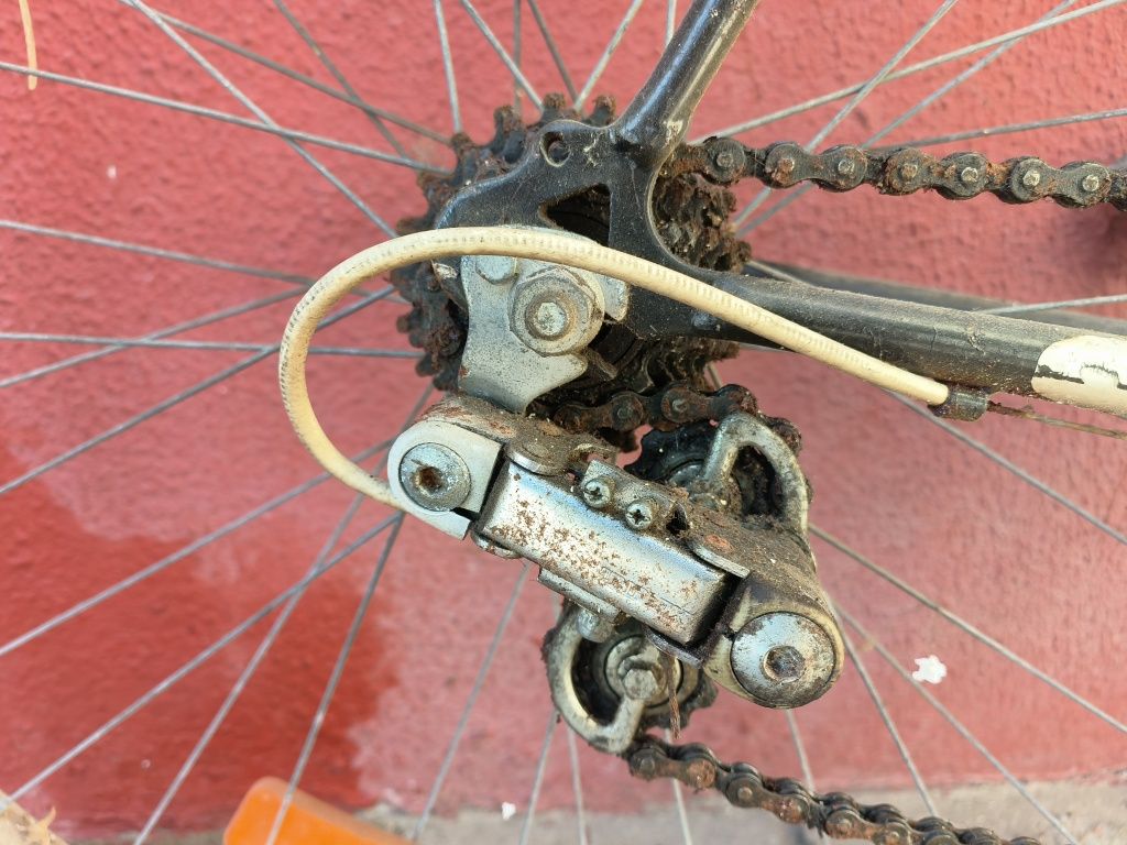 Bicicleta confersil para restaurar