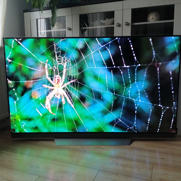 LG OLED 65E7V czytaj opis