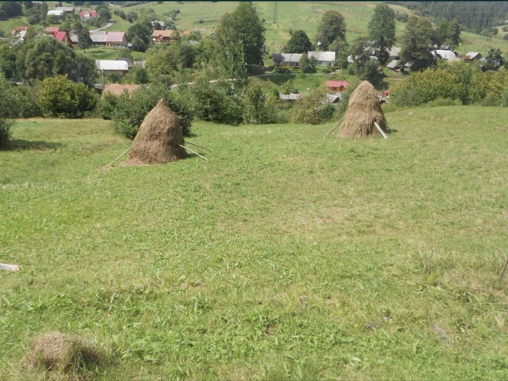 Дім і дві земельні ділянки