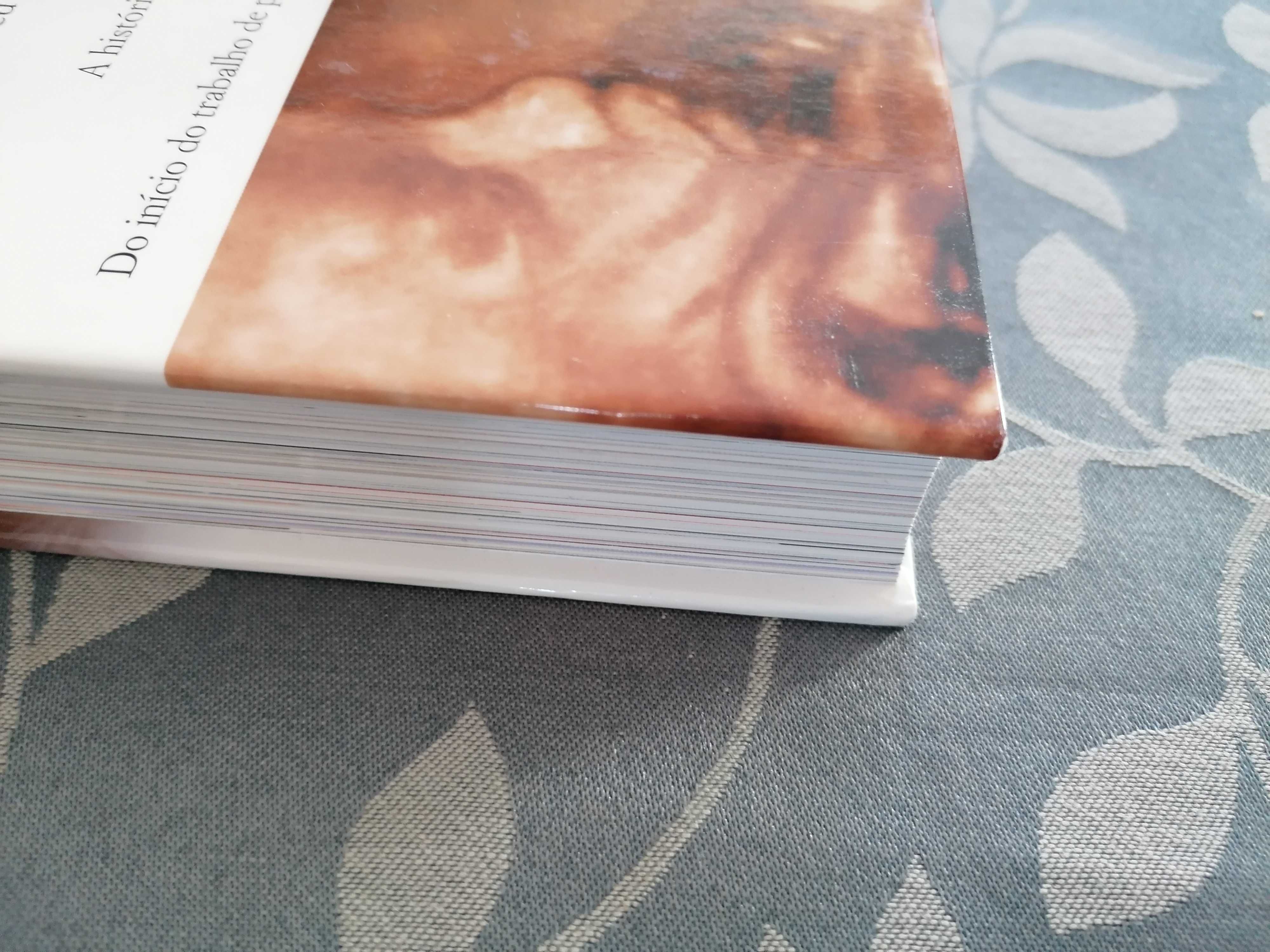 Livro A Sua Gravidez Semana a Semana