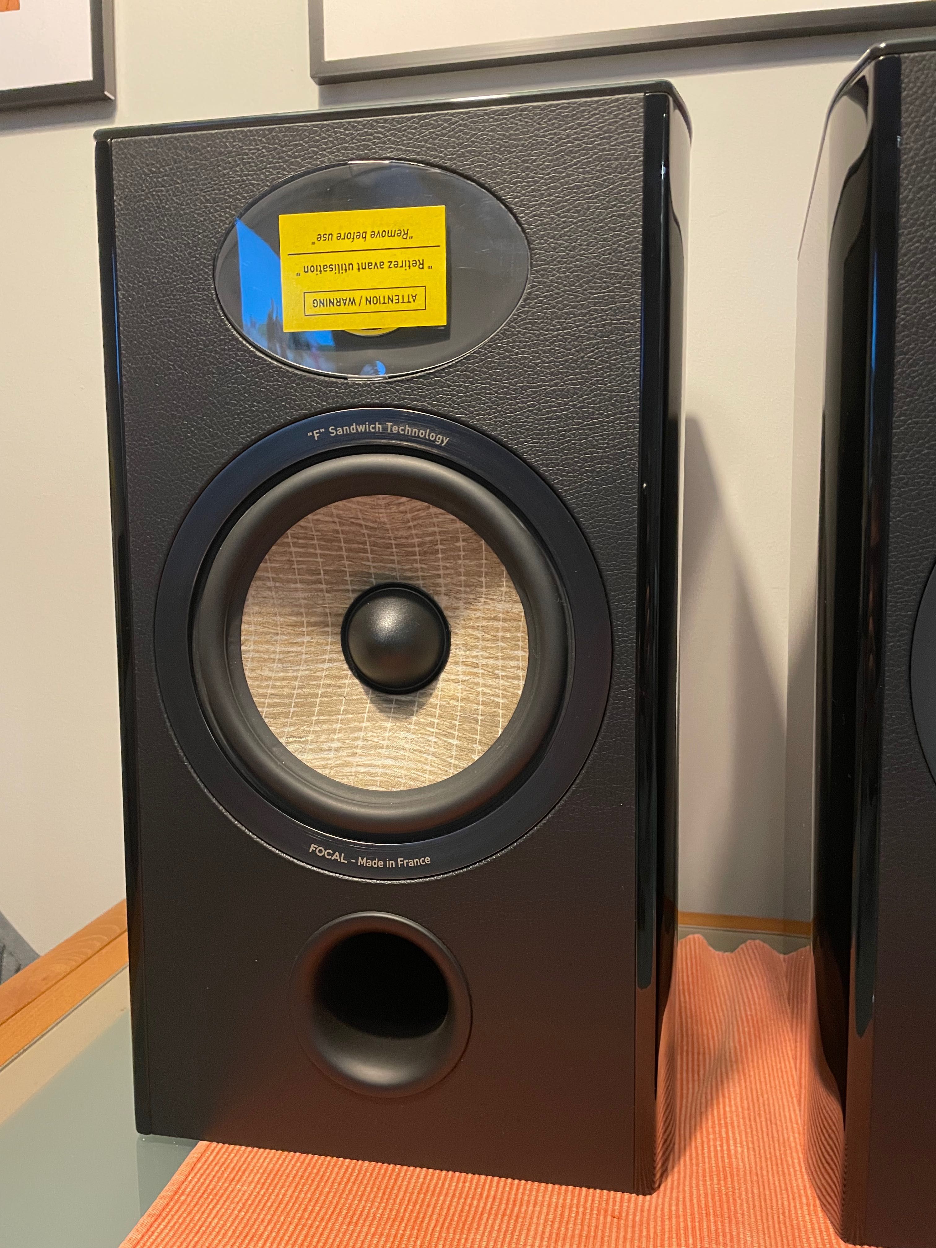 Głośniki Podstawkowe Focal Aria Evo N1 HG