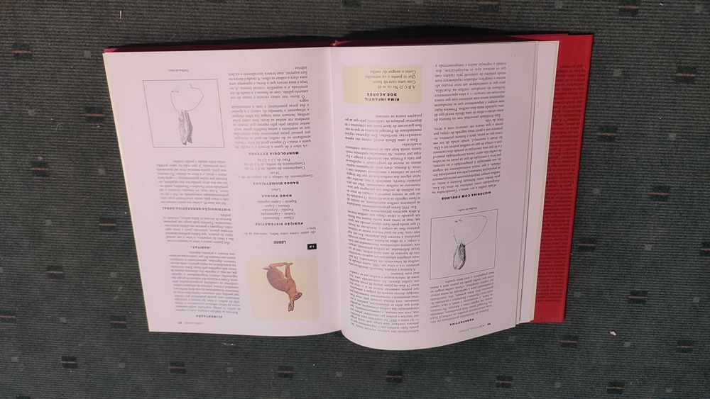 Portugal Animal - Clara Pinto Correia/António José Cidadão