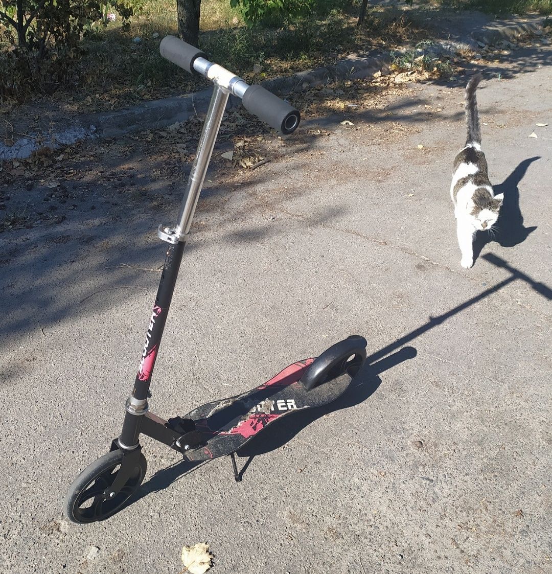 Самокат подростковый Scooter, подойдёт для взрослого небольшого