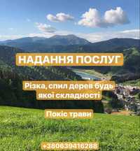 Послуга різки дерев, та косіння трави