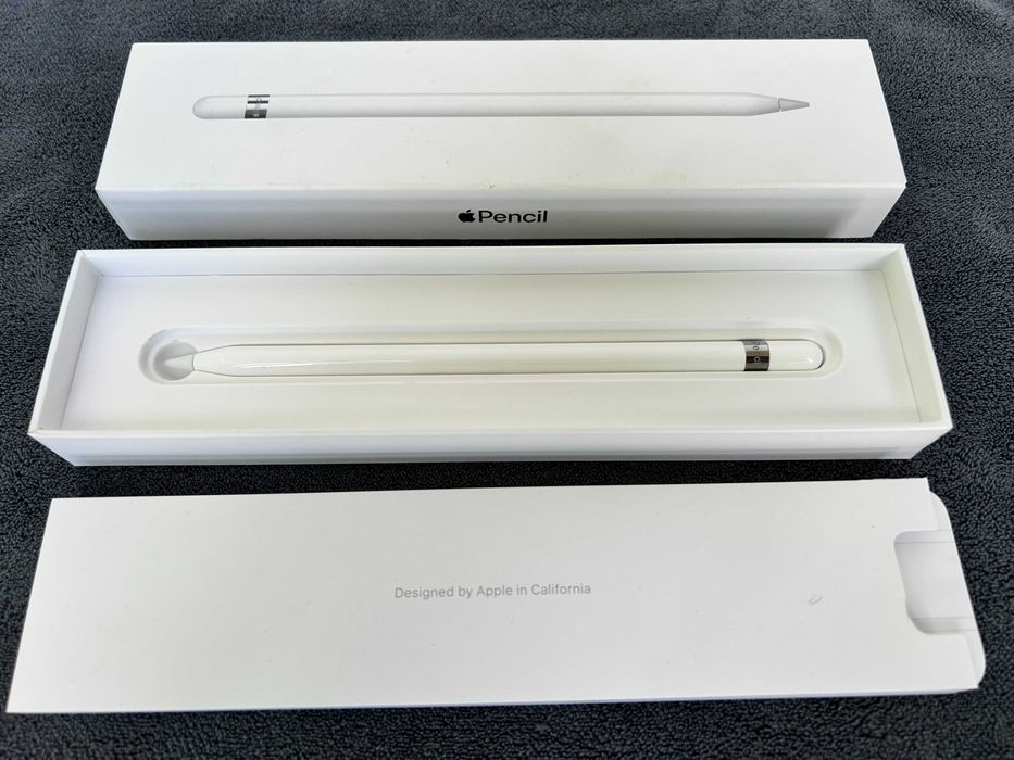 Apple Pencil 1ª Geração