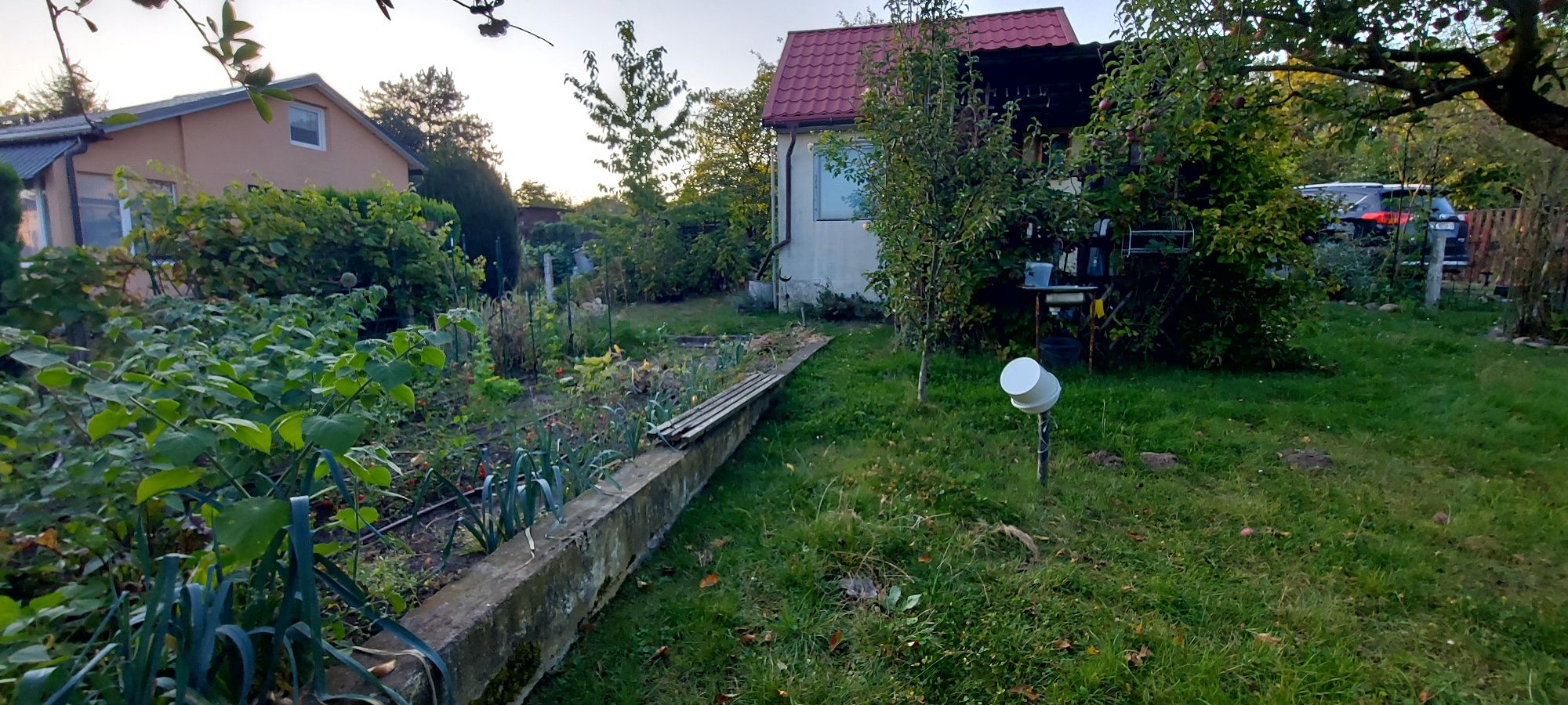 Prawo do ROD ul. Ostrowska