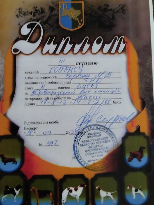 Елітний Дракхар для в'язки