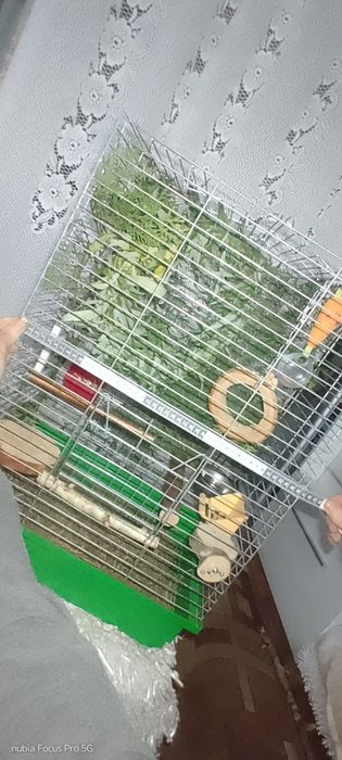 Клітка для пташок