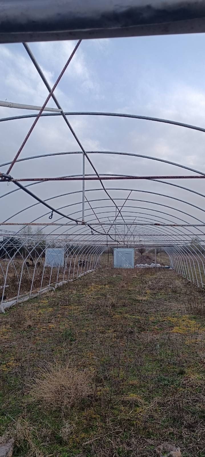Tunele foliowe 7x30 m