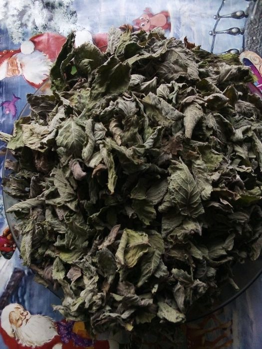 Suszone liście mięty (idealne na herbatę)