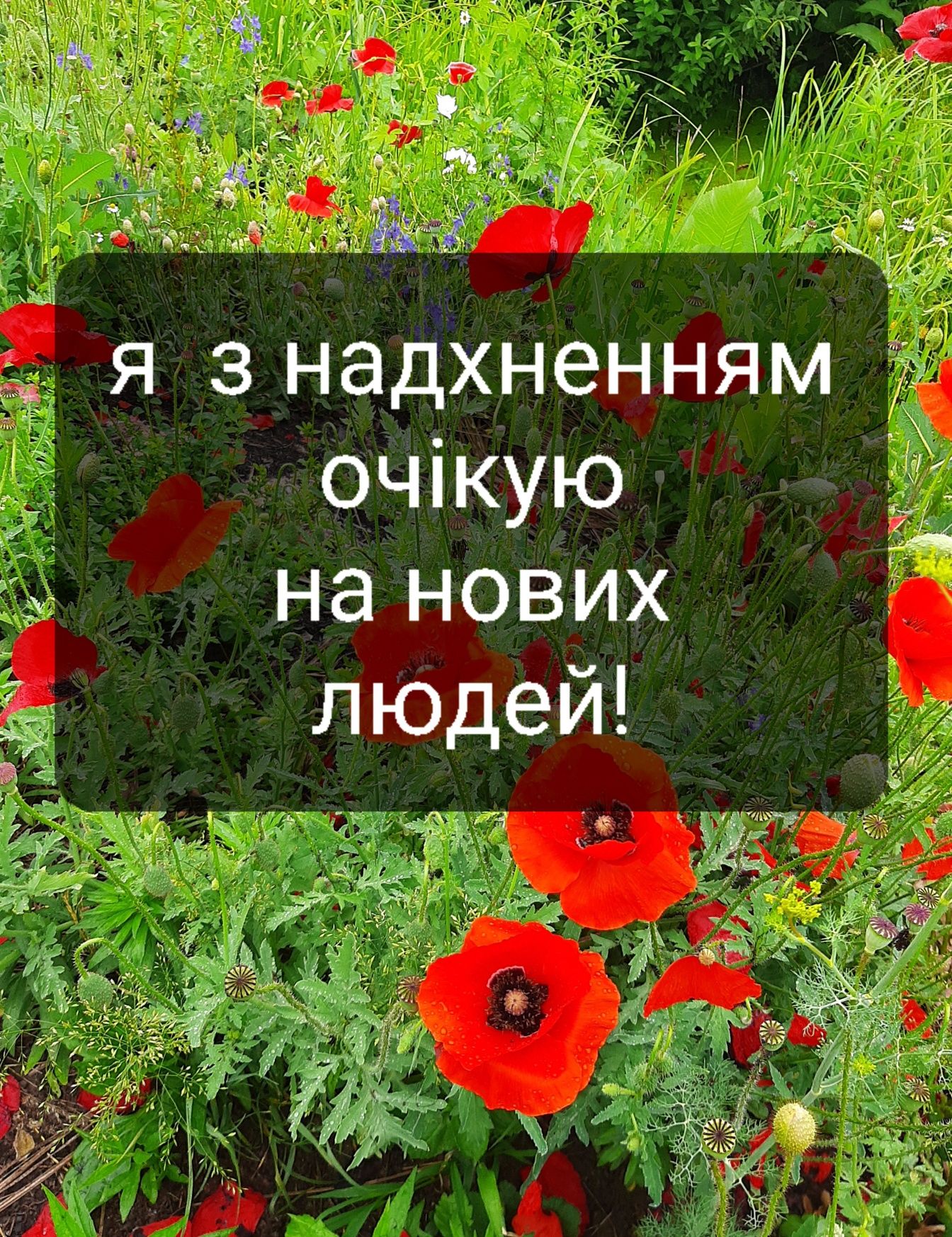 Масаж теплим маслом!