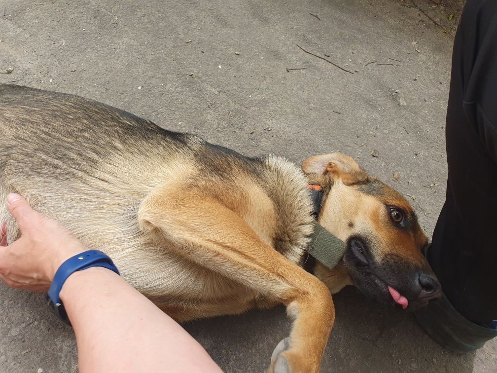 Супер девочка на охрану