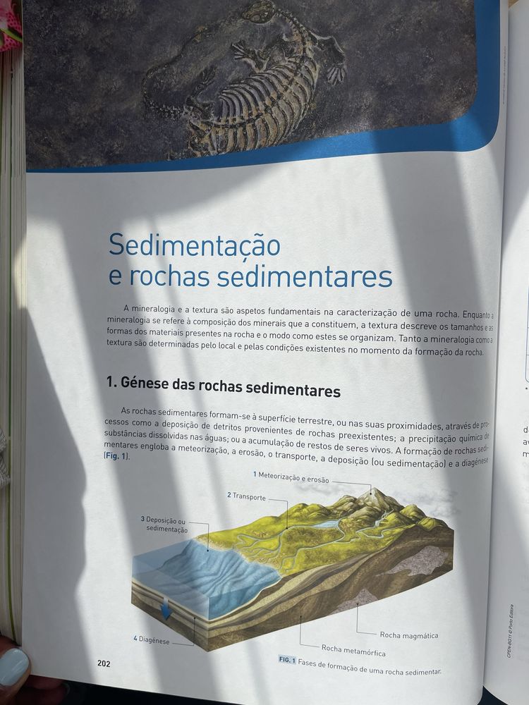 LIVRO PREPARAÇÃO PARA EXAME BIOLOGIA 11 ano OPORTUNIDADE