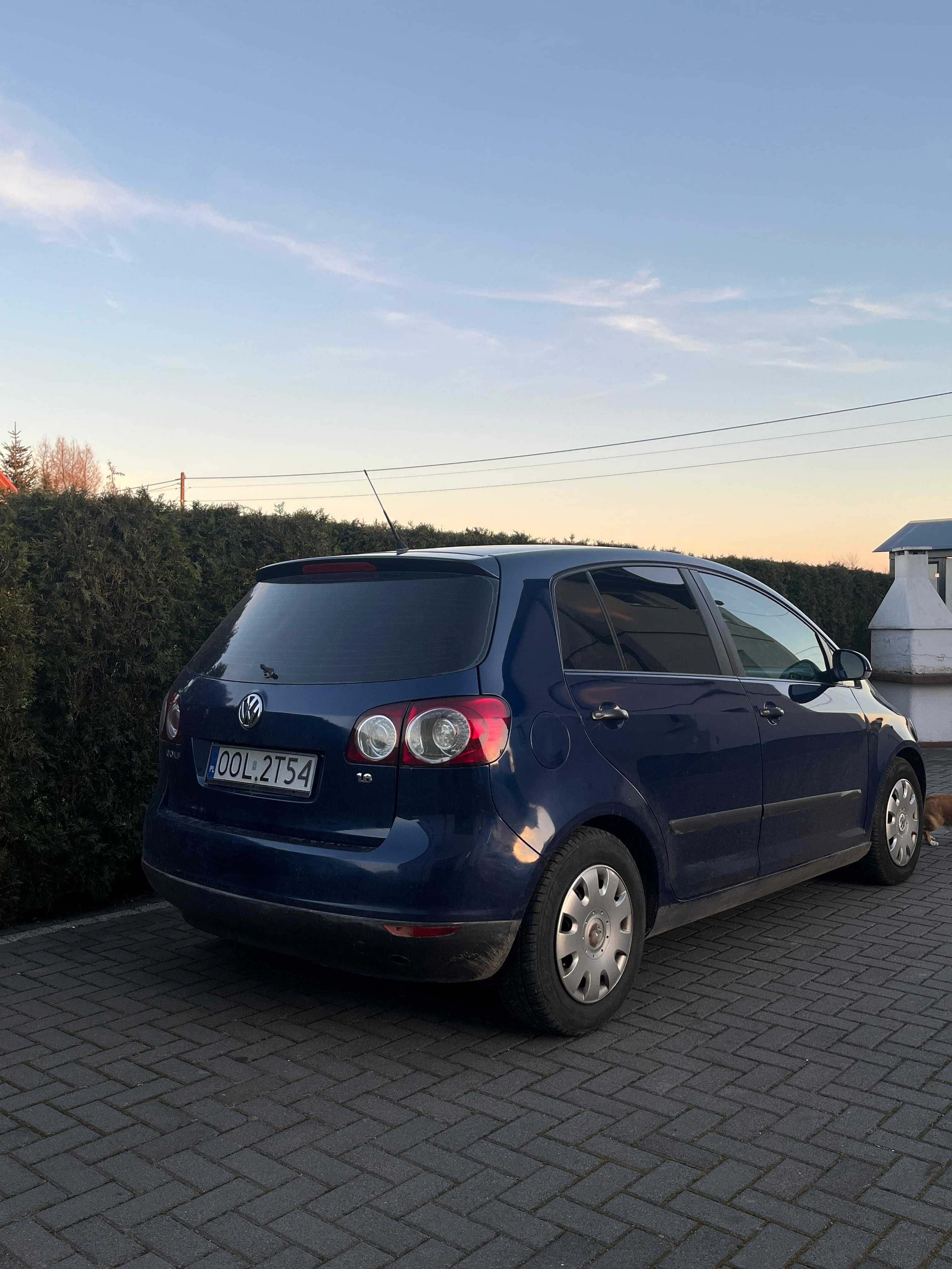 Golf Plus 1.6 Benyna z gazem