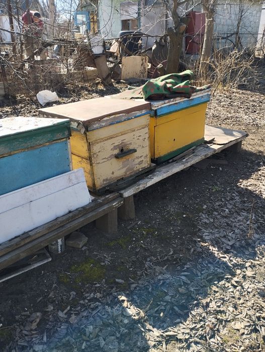 Улья, медогонка, рамки