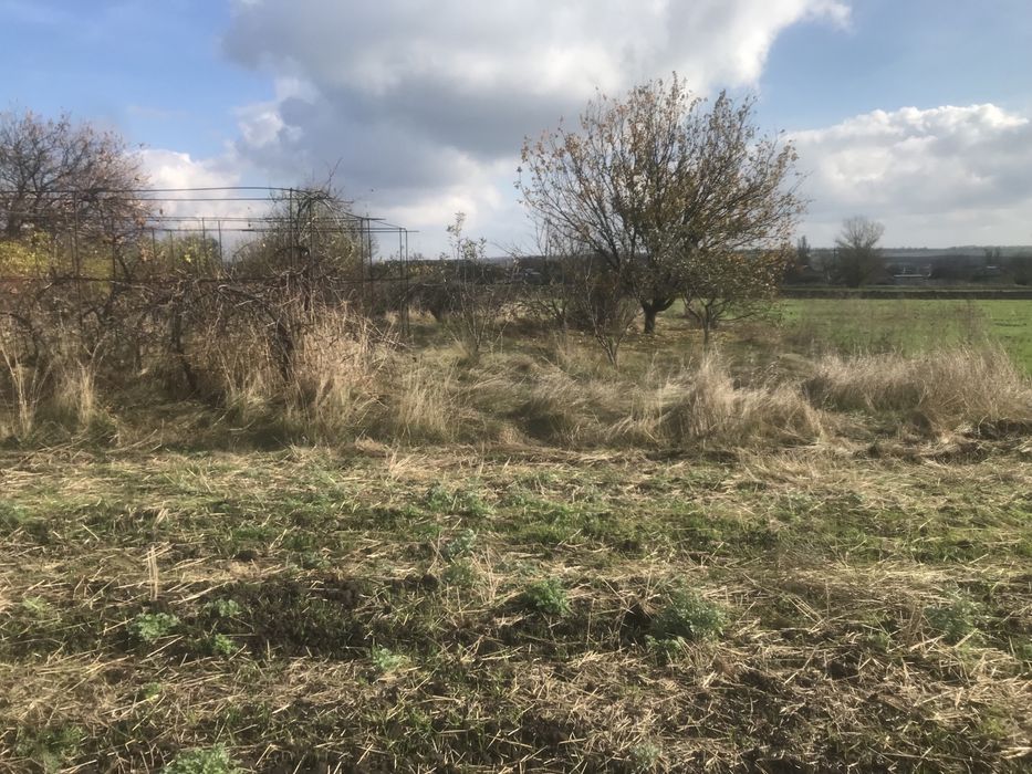 Продажа или аренда дома, дача, помещение, убежище.