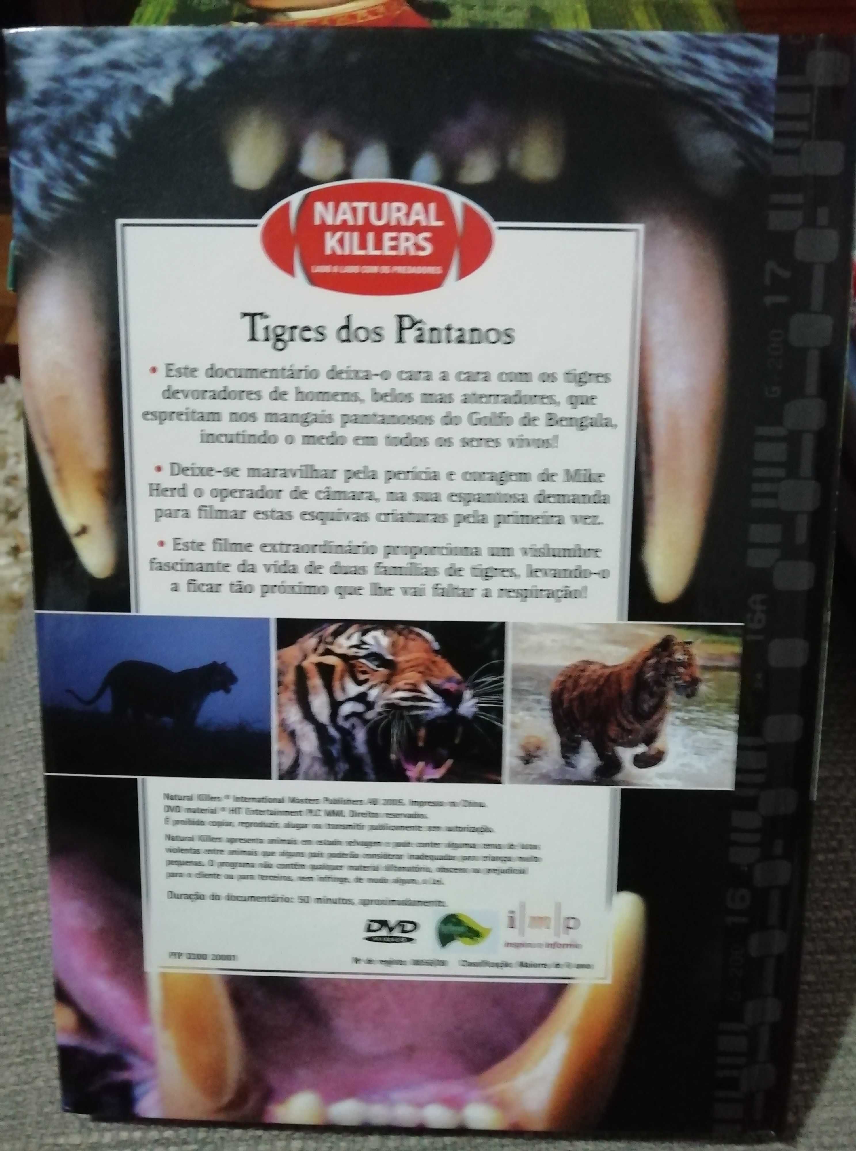 DVD + livro "Tigres dos Pântanos" - Tigre-de-bengala