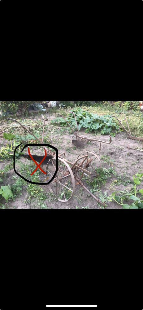 Кінний плуг розпашка