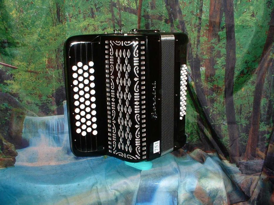 Acordeao Avenda G .751