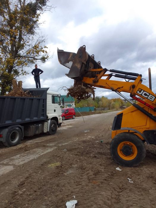 Видалення аварійних дерев Благоустрій Демонтаж.Є послуги ЩЕПОРІЗА