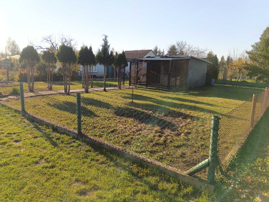 Działka ROD Storczyk / FILMY / 300 m2 / INWALIDÓW / Domek WC Prąd Woda